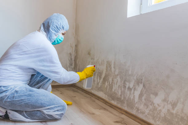 Crawl Space Mold Remediation treatment of floor joists in Peach Bottom