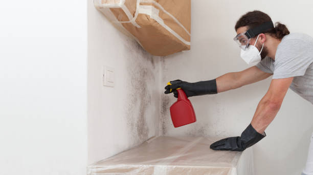 Basement Mold Remediation treatment on basement walls in Peach Bottom